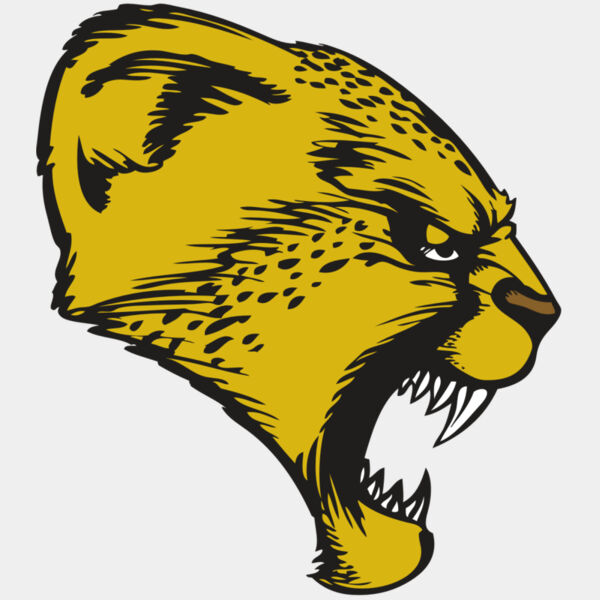 BAW CHEETAH 13 RC Thumbnail