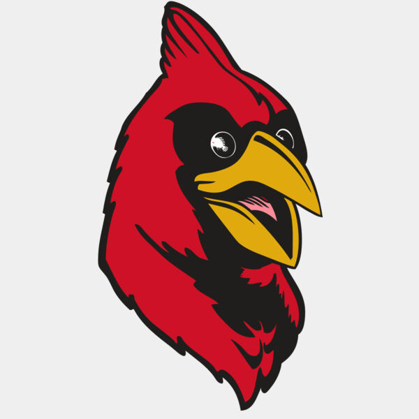 BAW CARDINAL 05 RC Thumbnail