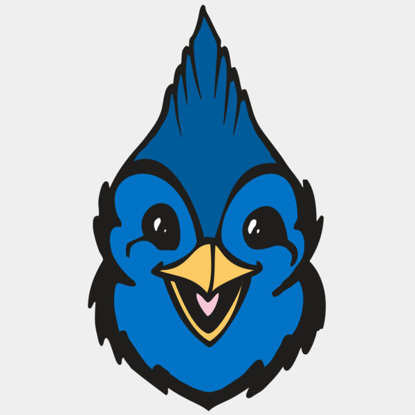 BAW BLUEJAY 19 RC Thumbnail