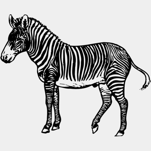 ZEBRA003 Thumbnail