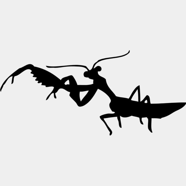 Mantis Silhouette 3 Thumbnail