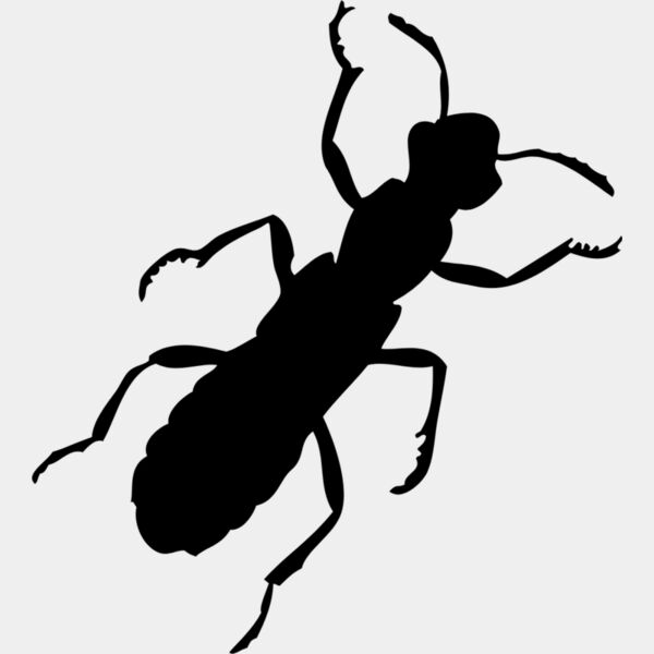 Ant Silhouette 1 Thumbnail