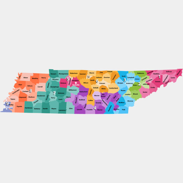 Tennessee Counties Districts Map 1 Thumbnail