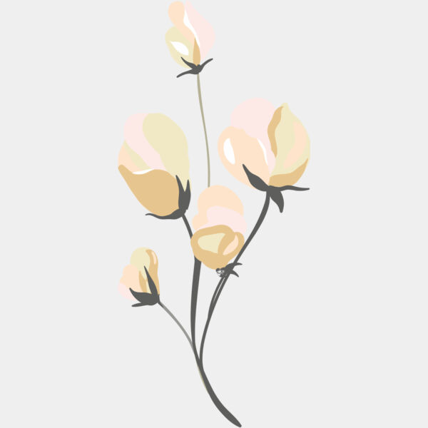 Pink Roses Flower 7 Thumbnail